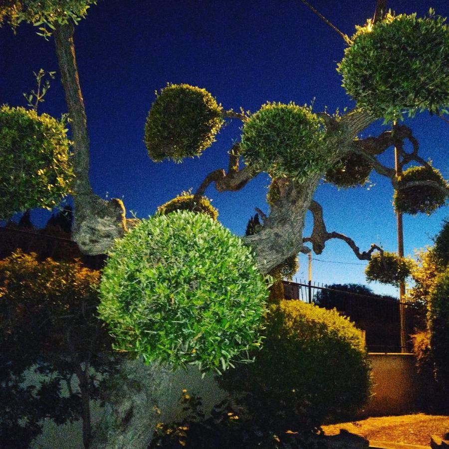 B&B Villa Lucia Bari Exterior photo